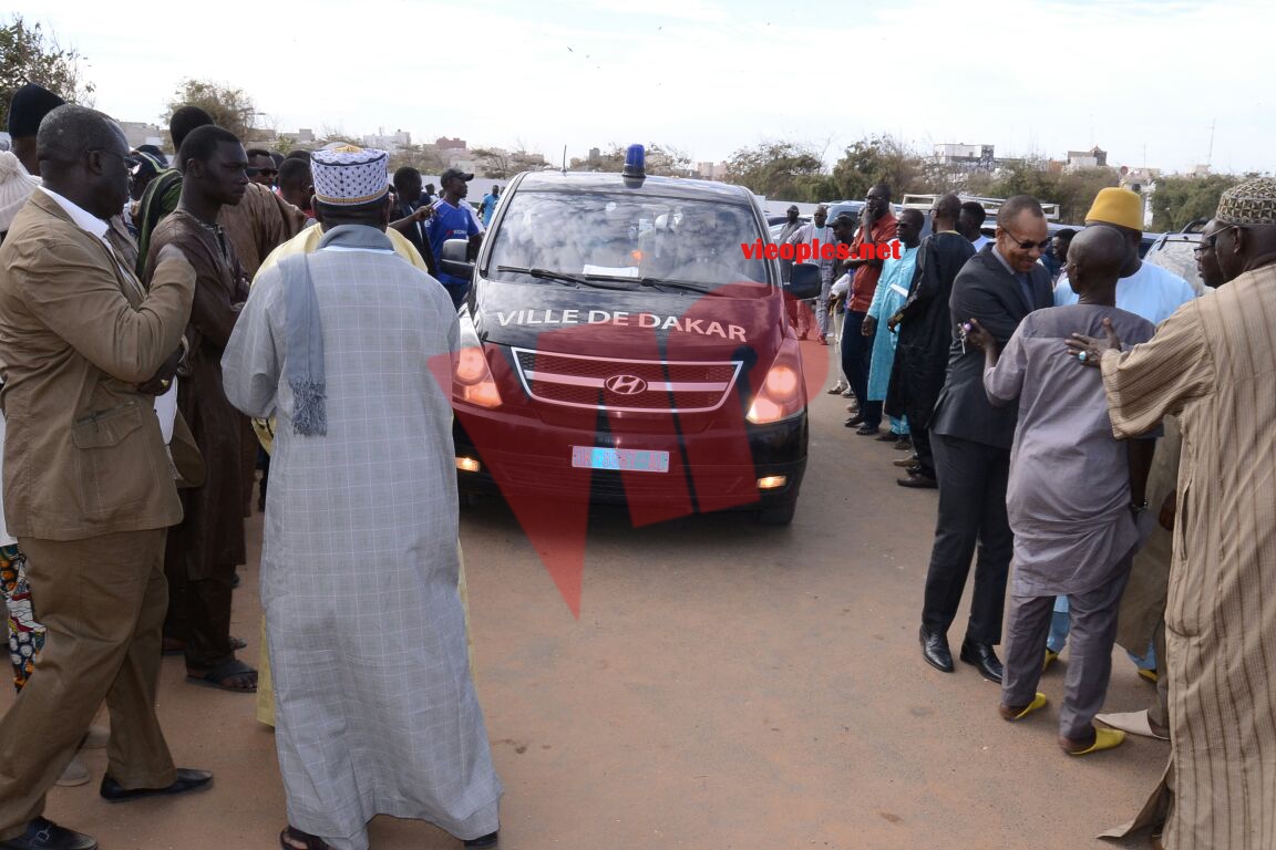 IMG-20170110-WA0063_1484075707519