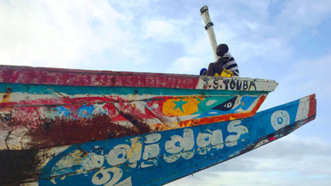 Le Sénégal agit pour améliorer la gouvernance et la durabilité du secteur de la pêche Le Sénégal agit pour améliorer la gouvernance et la durabilité du secteur de la pêche