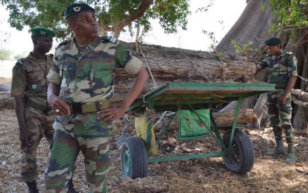 Trois officiers des Eaux et Forêts du Sénégal arrêtés par la police Gambienne Trois officiers des Eaux et Forêts du Sénégal arrêtés par la police Gambienne