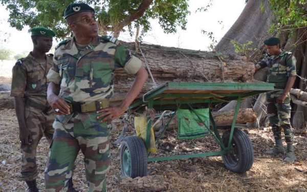 Trois officiers des Eaux et Forêts du Sénégal arrêtés par la police Gambienne