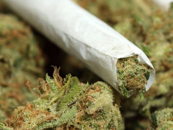 Suisse: Un convoyeur sénégalais interpellé avec 2.5 kg de marijuana