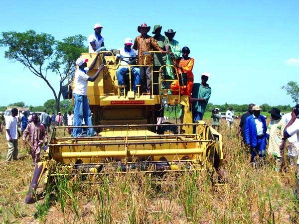 Agriculture : La production de 2015 estimée à cinq millions de tonnes Agriculture : La production de 2015 estimée à cinq millions de tonnes