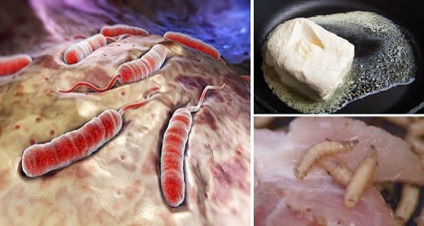 Les aliments toxiques causant le cancer que vous ne devez jamais consommer Les aliments toxiques causant le cancer que vous ne devez jamais consommer