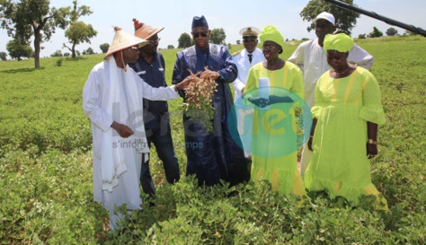 Macky Sall à Kaolack et Kaffrine: "Mon ambition est de faire des paysans des agriculteurs" Macky Sall à Kaolack et Kaffrine: "Mon ambition est de faire des paysans des agriculteurs"