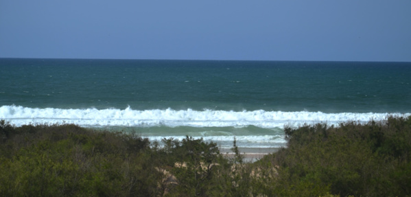 Drame: Un couple de français en voyage de noces au Sénégal s'est noyé à la grande côte, une plage située à 2 kilomètres du lac rose Drame: Un couple de français en voyage de noces au Sénégal s'est noyé à la grande côte, une plage située à 2 kilomètres du lac rose