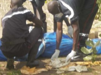 Meurtres crapuleux à Ndioum: Un vendeur en pharmacie et un vigile égorgés par des inconnus. Meurtres crapuleux à Ndioum: Un vendeur en pharmacie et un vigile égorgés par des inconnus.