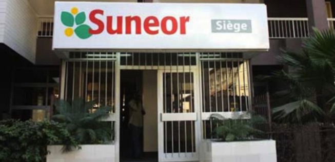 La SONACOS obtient 45 milliards pour la commercialisation de l'arachide La SONACOS obtient 45 milliards pour la commercialisation de l'arachide