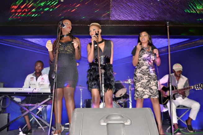 Live à Alkimia, le trio du groupe Safari casse la baraque.Regardez