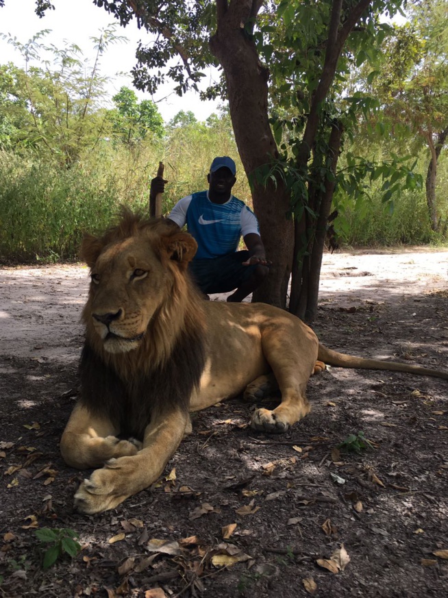Le patron de "Albourakh" Baye Ndiaye en mode chasseur dans le parc sur la route de Passy.