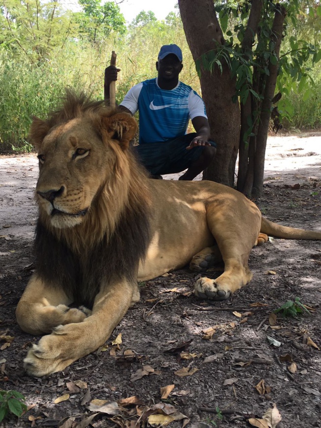 Le patron de "Albourakh" Baye Ndiaye en mode chasseur dans le parc sur la route de Passy.