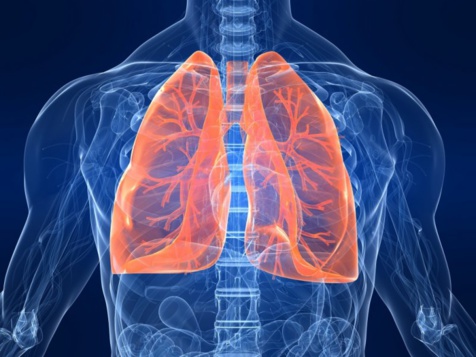 Ce jeudi 16 novembre- 2 journées mondiales: la journée mondiale contre les Broncho-Pneumopathies Chroniques Obstructives et la Journée Internationale de la Tolérance Ce jeudi 16 novembre- 2 journées mondiales: la journée mondiale contre les Broncho-Pneumopathies Chroniques Obstructives et la Journée Internationale de la Tolérance
