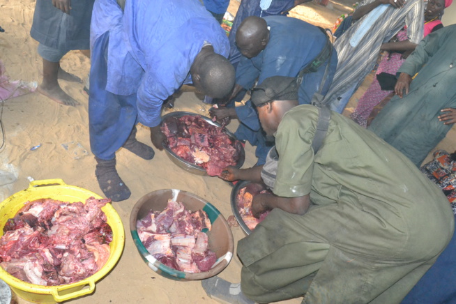 MAGAL TOUBA chez Serigne Cheikh Saliou. MAGAL TOUBA chez Serigne Cheikh Saliou.