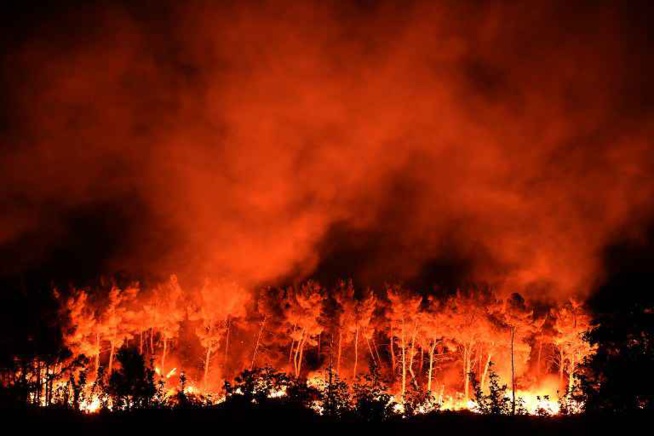 Vidéo : Incendie sur la route de Ouakam : C'est l'enfer avec beaucoup de dégâts matériels, dont des bus d'un nommé Jean Monteiro Vidéo : Incendie sur la route de Ouakam : C'est l'enfer avec beaucoup de dégâts matériels, dont des bus d'un nommé Jean Monteiro