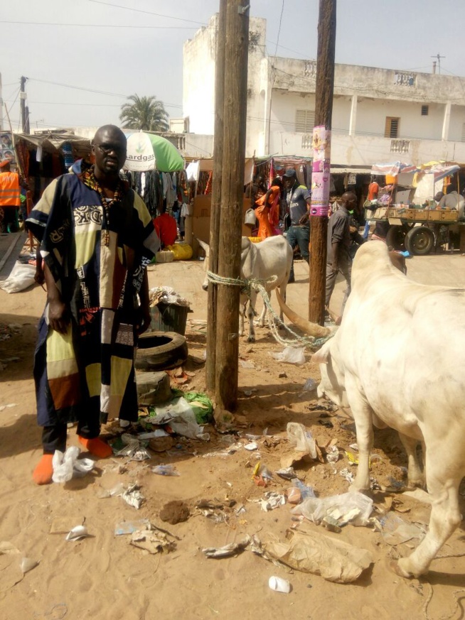 Oeuvres sociales: L'équipe de la marmite du coeur offre des "Berndés" aux talibés lors du Magal de Touba.