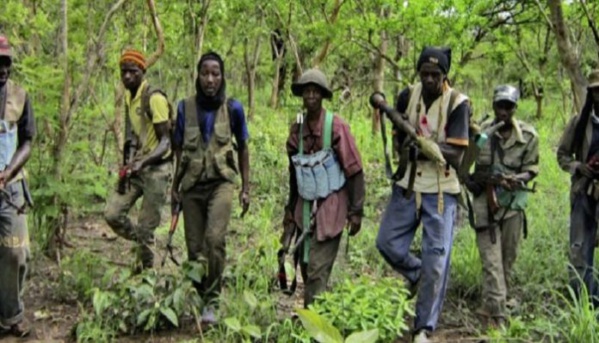 L'aile combattante du MFDC prête à faire respecter l'accalmie à ses éléments armés L'aile combattante du MFDC prête à faire respecter l'accalmie à ses éléments armés