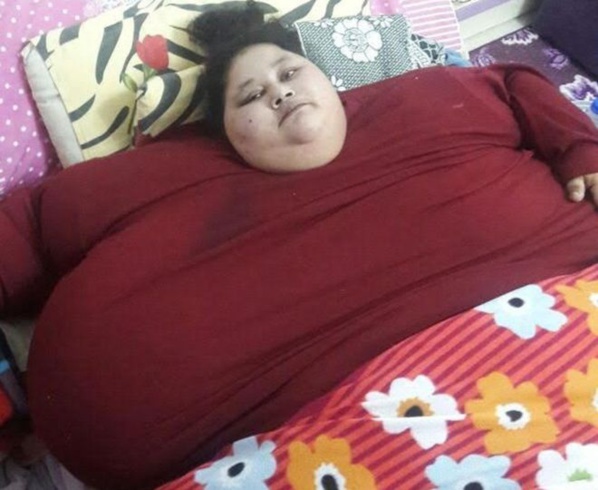 Egypte : une femme de 500 kg va être embarquée à bord d'un avion vers l'Inde pour y subir une intervention chirurgicale Egypte : une femme de 500 kg va être embarquée à bord d'un avion vers l'Inde pour y subir une intervention chirurgicale