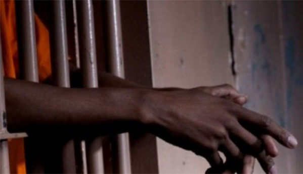 Tambacounda : huit ans de travaux forcés contre le jeune Bourama Bâ reconnu coupable de fratricide Tambacounda : huit ans de travaux forcés contre le jeune Bourama Bâ reconnu coupable de fratricide