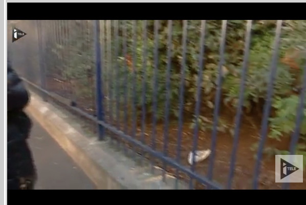 Paris lance un plan d'attaque contre les rats Paris lance un plan d'attaque contre les rats