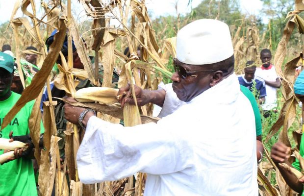 Jammeh parle: «J’aime le Sénégal et son peuple me le rend bien, mais ce que je regrette… » Jammeh parle: «J’aime le Sénégal et son peuple me le rend bien, mais ce que je regrette… »