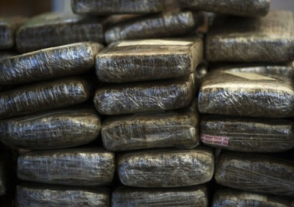 Kolda : la Police intercepte 117 kg de chanvre indien Kolda : la Police intercepte 117 kg de chanvre indien