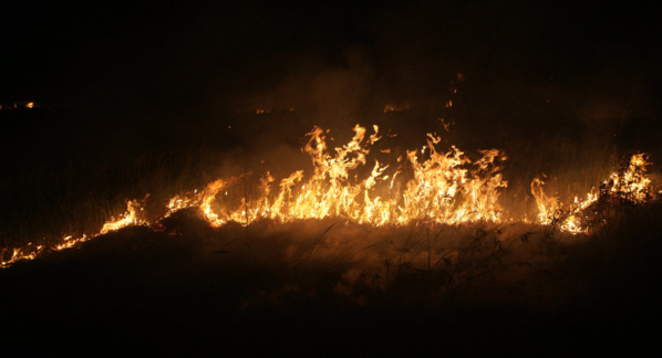 Dernière minute : Incendie à la décharge de Mbeubeuss, fait état d’un bilan de 2 morts Dernière minute : Incendie à la décharge de Mbeubeuss, fait état d’un bilan de 2 morts