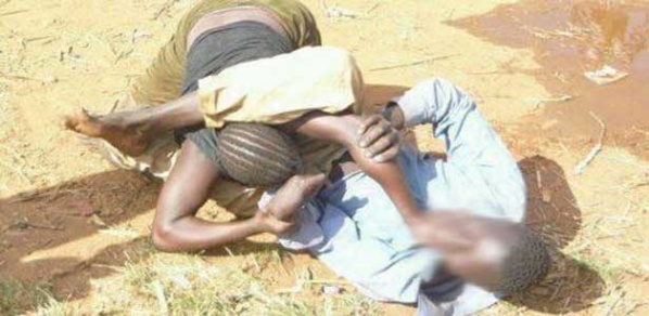 Pikine : Pour un pot de lait caillé, la famille Diop se déchire Pikine : Pour un pot de lait caillé, la famille Diop se déchire