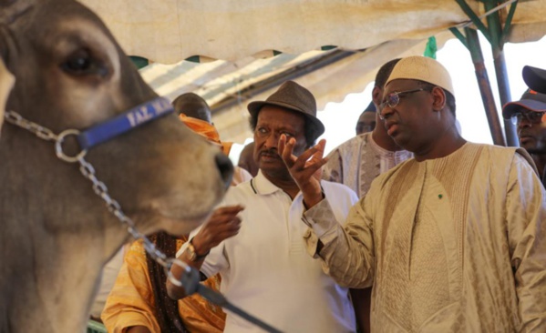 Licences d’importation d’hydrocarbure à ITOC: Le journaliste Cheikh Mbacké Guissé persiste et signe Licences d’importation d’hydrocarbure à ITOC: Le journaliste Cheikh Mbacké Guissé persiste et signe