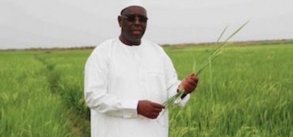 LE SÉNÉGAL VISE UNE "ÉMERGENCE INCLUSIVE", SELON LE PRÉSIDENT MACKY SALL LE SÉNÉGAL VISE UNE "ÉMERGENCE INCLUSIVE", SELON LE PRÉSIDENT MACKY SALL