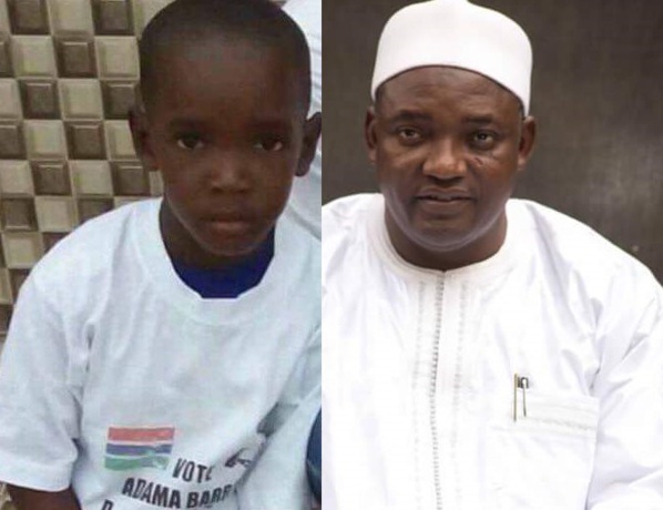 Le pitbull qui a mordu le fils de Adama Barrow tué par injection Le pitbull qui a mordu le fils de Adama Barrow tué par injection