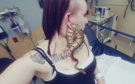 Etats-Unis : Pour un ‘’selfie’’ avec un serpent coincé dans l'oreille, elle termine aux urgences Etats-Unis : Pour un ‘’selfie’’ avec un serpent coincé dans l'oreille, elle termine aux urgences