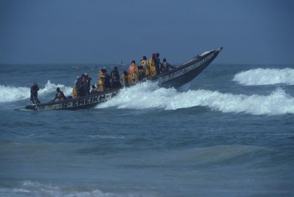 Mauritanie:180 pêcheurs arrêtés, Nouackchott et Dakar trouvent une solution aux licences de pêche Mauritanie:180 pêcheurs arrêtés, Nouackchott et Dakar trouvent une solution aux licences de pêche