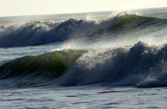 Alerte: Une "houle dangereuse" attendue mercredi sur la Grande Côte et Dakar Alerte: Une "houle dangereuse" attendue mercredi sur la Grande Côte et Dakar