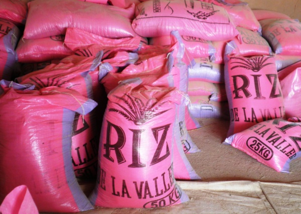 Mévente de la production locale, l'Etat interdit les importations de riz Mévente de la production locale, l'Etat interdit les importations de riz