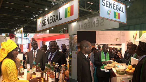 L’agriculture sénégalaise subit une "véritable métamorphose" (Pape Abdoulaye Seck, Ministre de l'Agriculture) L’agriculture sénégalaise subit une "véritable métamorphose" (Pape Abdoulaye Seck, Ministre de l'Agriculture)