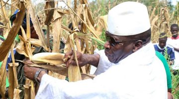 Guinée Equatoriale:Yahya Jammeh veut se lancer dans l’agriculture Guinée Equatoriale:Yahya Jammeh veut se lancer dans l’agriculture