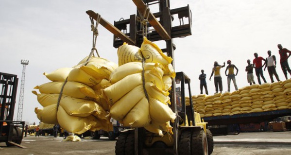 Importation du riz : Une facture de 226,4 milliards en 2015 Importation du riz : Une facture de 226,4 milliards en 2015
