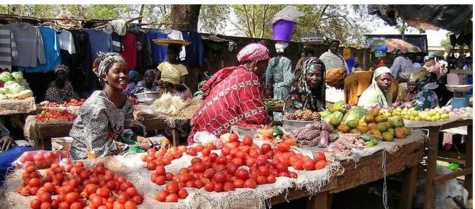 Agriculture : comment l'Afrique de l'Ouest s'y prend sur les marchés internationaux Agriculture : comment l'Afrique de l'Ouest s'y prend sur les marchés internationaux