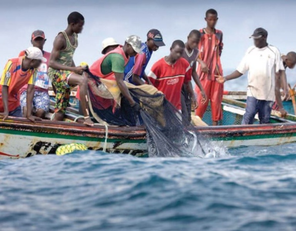Drame au large des côtes sénégalaises: La Marine repêche 16 cadavres de pêcheurs Drame au large des côtes sénégalaises: La Marine repêche 16 cadavres de pêcheurs