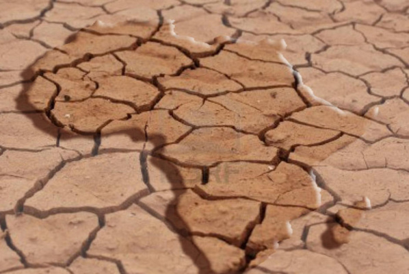 L'Afrique compte 145 000 millionnaires L'Afrique compte 145 000 millionnaires