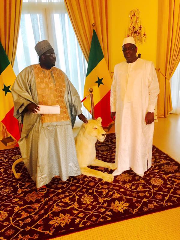 La famille de Serigne Mamoune Niasse réitère leur engagement auprès de Macky Sall
