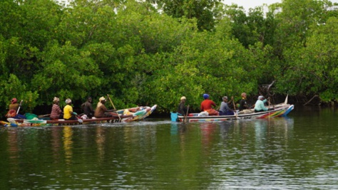 Naufrage dans les îles du Saloum: Témoignage tragique de Mamadou Sène sur le drame qui a emporté des dizaines de femmes