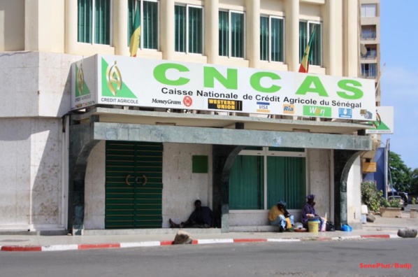 80 milliards FCFA dans le vent: Cncas, sur les traces d’un ignoble scandale 80 milliards FCFA dans le vent: Cncas, sur les traces d’un ignoble scandale