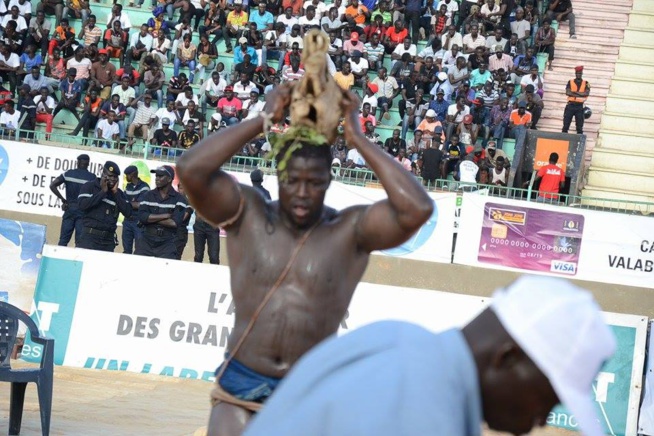 En images les temps forts du combat Gris 2 Pakala; En images les temps forts du combat Gris 2 Pakala;