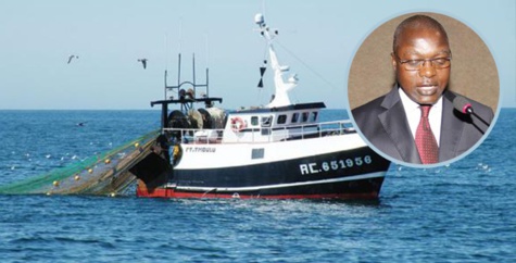 Oumar Guèye, ministre de la Pêche : «La pêche illégale fait perdre au Sénégal 150 milliards de F Cfa »
