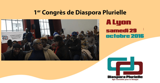 Elections législatives 2017 : En France, Diaspora Plurielle se retire de la compétition Elections législatives 2017 : En France, Diaspora Plurielle se retire de la compétition