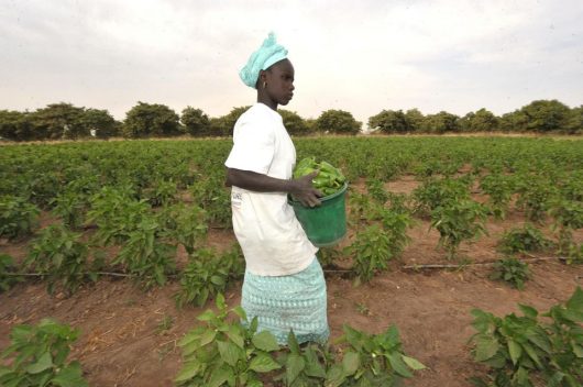 6% de croissance du PIB sur 3 années consécutives, une première pour le Sénégal ? 6% de croissance du PIB sur 3 années consécutives, une première pour le Sénégal ?