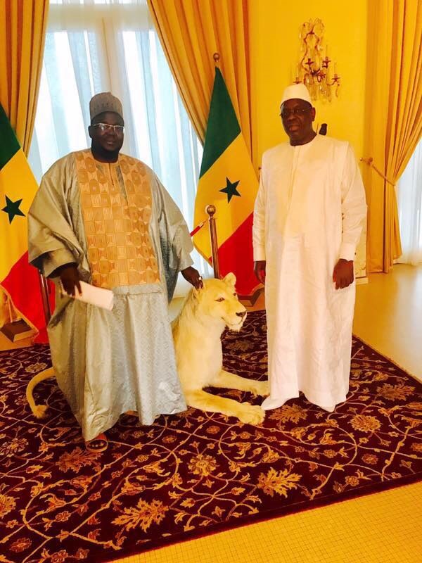 Médina Baye: Le RP de Cheikh Mansour Niass rafle la mise, confortant la victoire de Bby… Médina Baye: Le RP de Cheikh Mansour Niass rafle la mise, confortant la victoire de Bby…