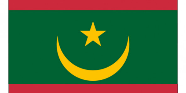 Mauritanie : le changement de drapeau et la suppression du Sénat sont officiels Mauritanie : le changement de drapeau et la suppression du Sénat sont officiels