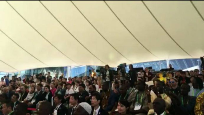 Le groupe SAFARI explose l'exposition à Astana. Le groupe SAFARI explose l'exposition à Astana.