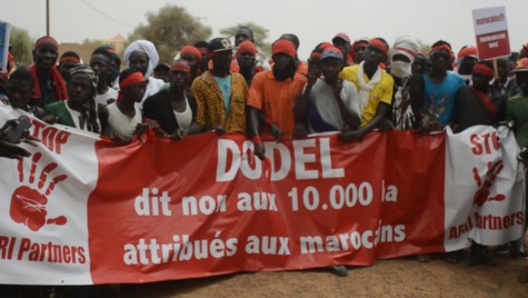 Foncier : Un Collectif de Dodèl saisit la Cour suprême contre des Marocains Foncier : Un Collectif de Dodèl saisit la Cour suprême contre des Marocains